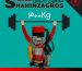 موتور کرکره برقی 300 کیلویی